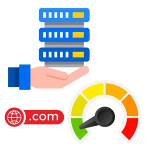 2 (dos) Servicios de Hosting anual Standard y 2 (dos) dominios .COM anual